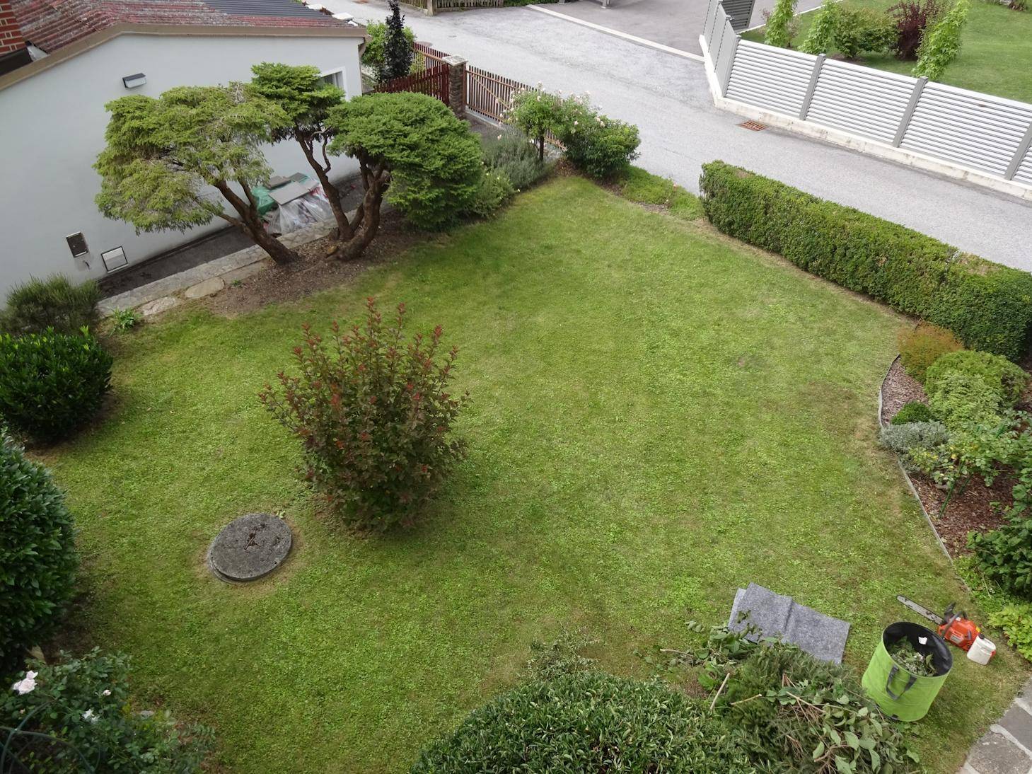 Gepflegter Garten mit Rasenfläche, Sträuchern und Hecken.