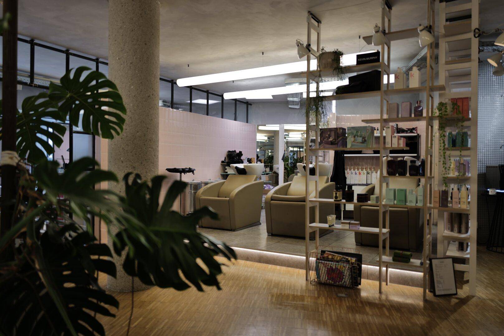 Heller Salonbereich mit Friseurstühlen, Produktregalen, Pflanzen und Holzboden.