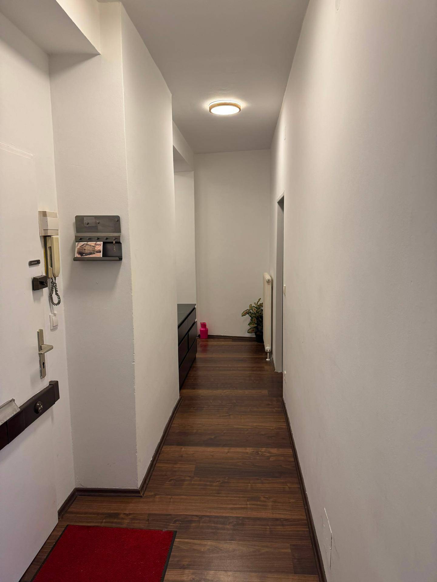 Heller Flur mit dunklem Holzfußboden und Gegensprechanlage am Eingang.
