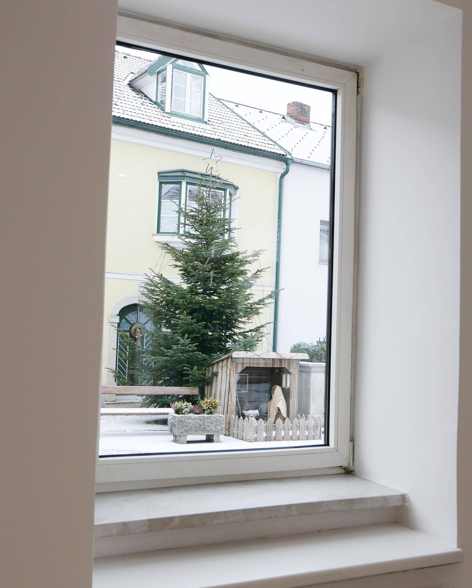 Blick aus einem Fenster auf einen verschneiten Innenhof mit einem Weihnachtsbaum und einem historischen Gebäude.