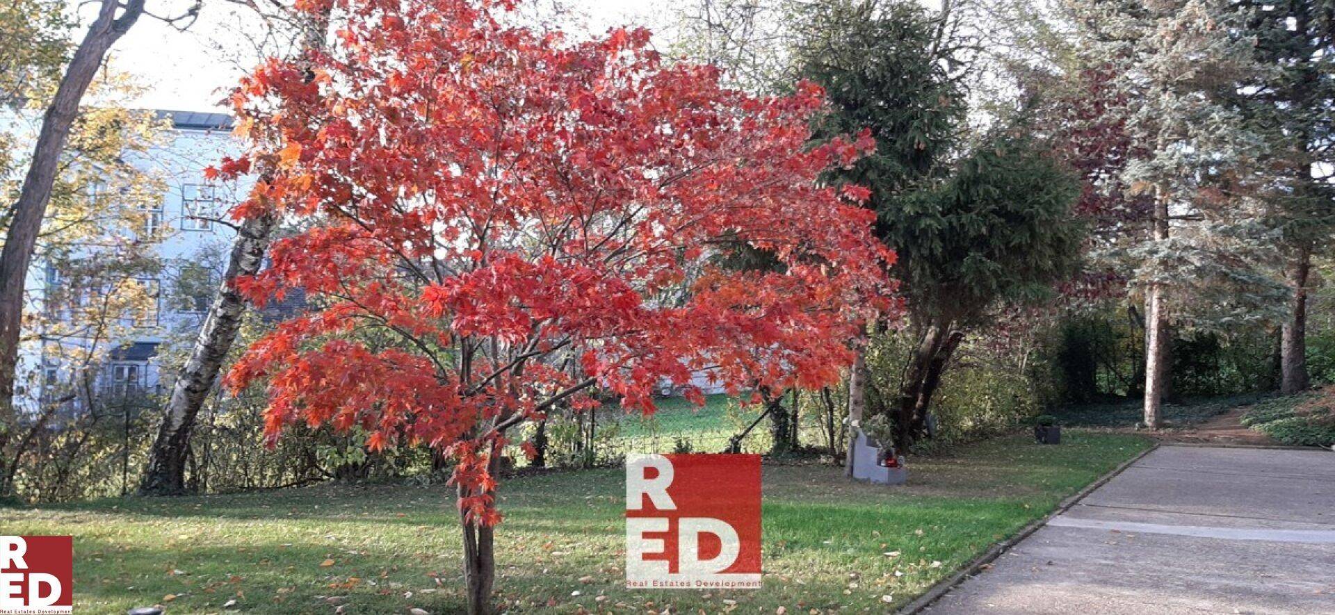 Gartenbereich