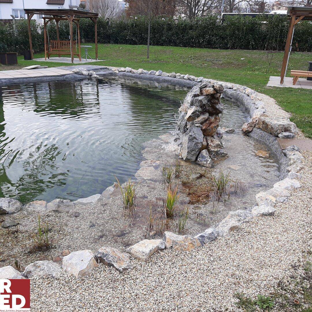 Gartenblick mit Teich