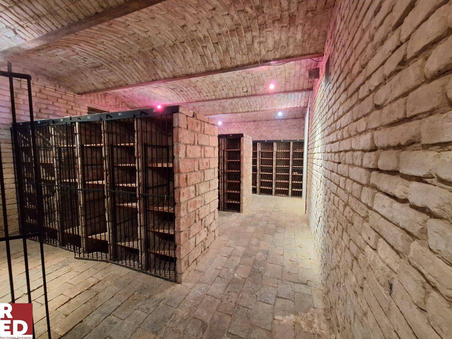 Kellerraum mit Ziegelwänden, gewölbter Decke und Metallregalen für Lagerzwecke.