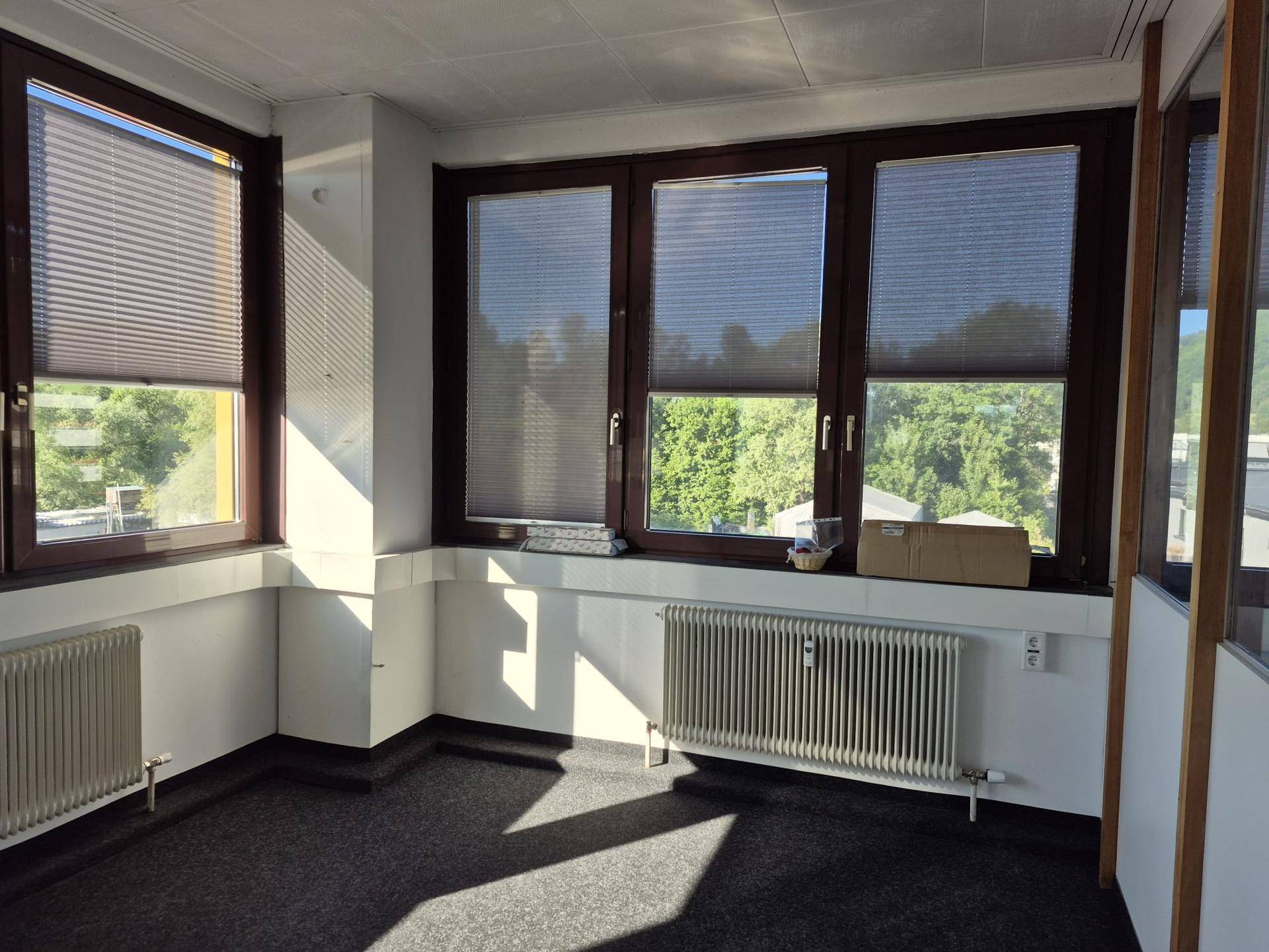 Eckbüro mit Teppichboden und großen Fenstern, die viel Sonnenlicht hereinlassen und eine grüne Aussicht bieten.