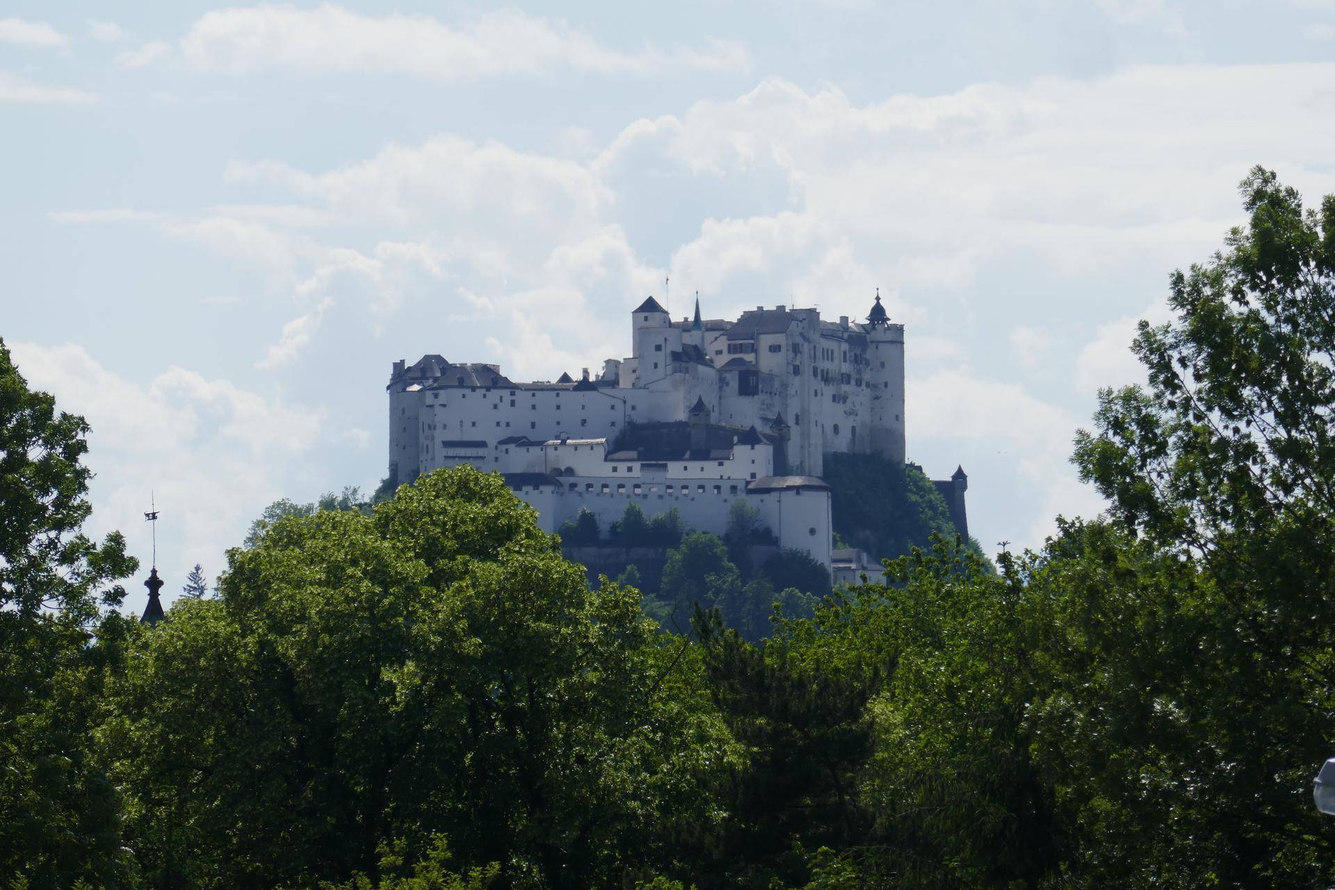 Malerischer Blick auf eine historische Burg, umgeben von grünen Bäumen unter blauem Himmel.