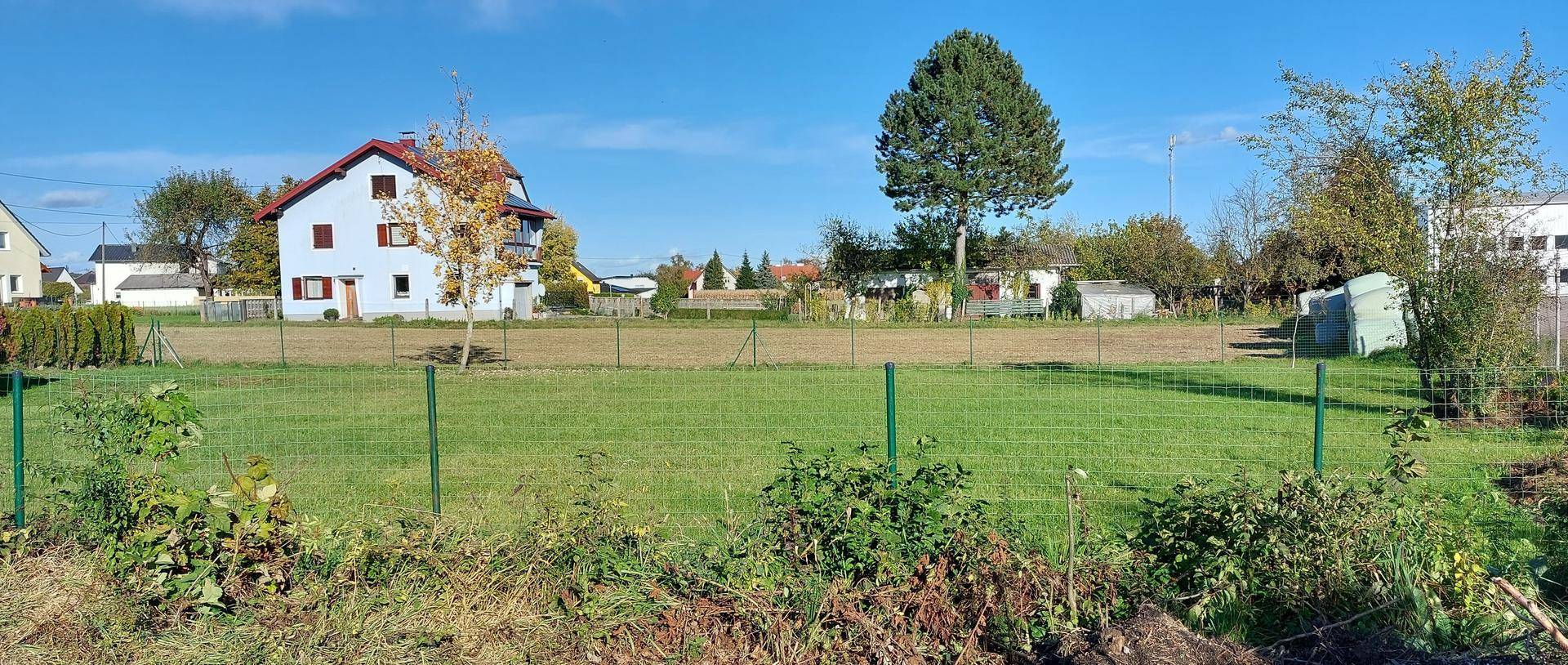 Weitläufige Grünfläche mit Zaun, einem blauen Haus und hohen Bäumen in der Ferne unter blauem Himmel.