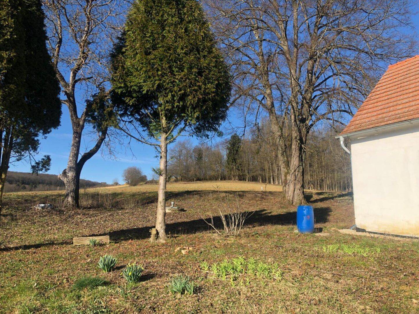 Teil des Gartens mit Bäumen und Blick auf die weite, ländliche Umgebung.