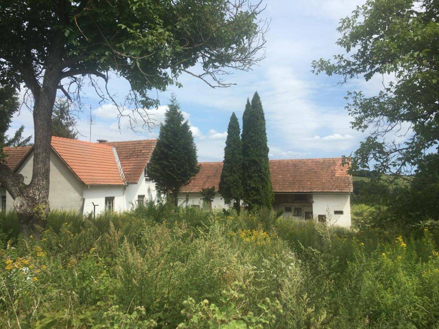 Das ländliche Anwesen, umgeben von hohen Bäumen und dichter Vegetation, unter blauem Himmel.