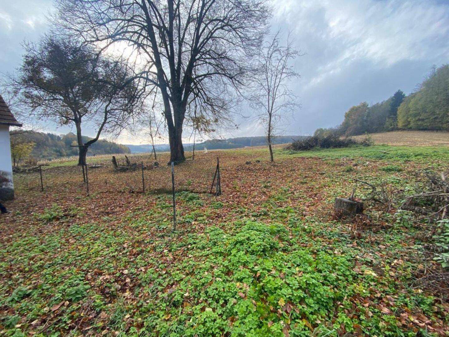 Großer Gartenbereich mit Laubbäumen und herbstlichem Laub, umgeben von Natur.