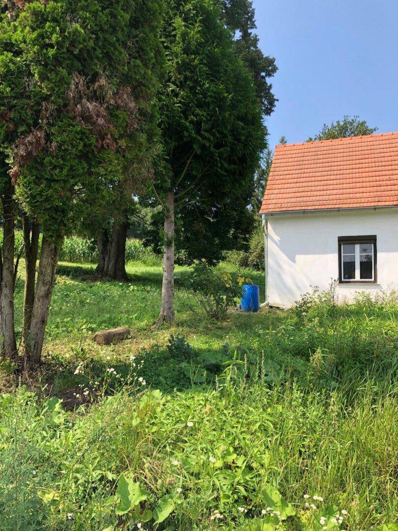Seitenansicht des Hauses mit rotem Ziegeldach und einem grünen, naturbelassenen Garten.