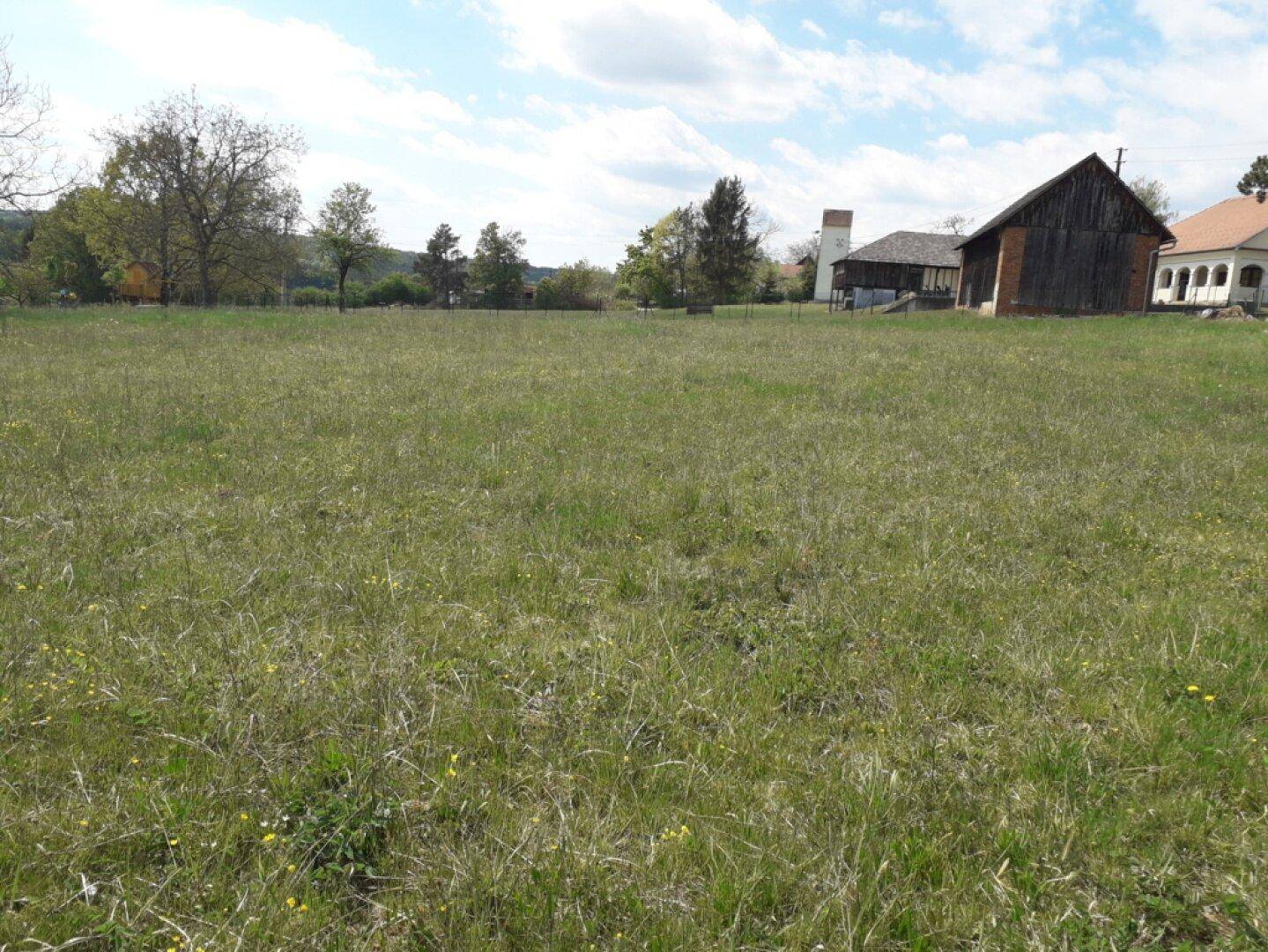 Offene grüne Fläche mit vereinzelten Bäumen und traditionellen Gebäuden am Horizont.
