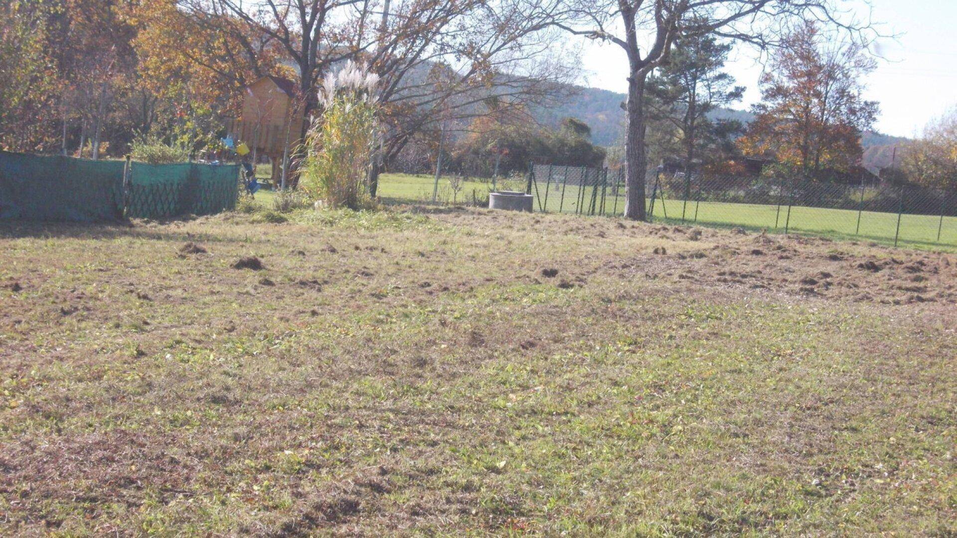 Herbstliche Wiese mit trockenem Gras, umgeben von Bäumen und einem einfachen Zaun.