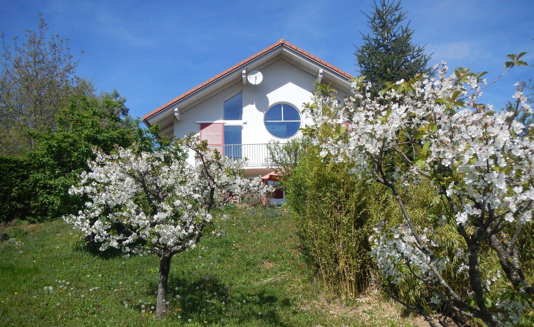 Weißes Haus mit rotem Dach, umgeben von blühenden Bäumen und grüner Natur im Frühling.