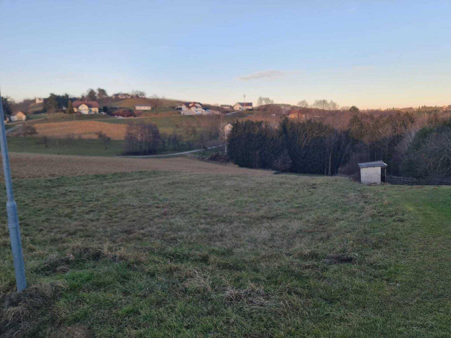 Weitläufiges Feld mit kahlen Bäumen und einem Schuppen in der Dämmerung, Häuser am Horizont sichtbar.