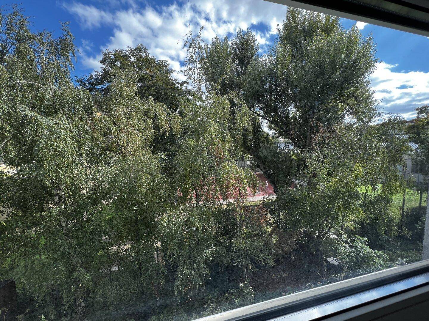 Blick aus dem Fenster auf üppiges Grün und einen blauen Himmel mit Wolken.