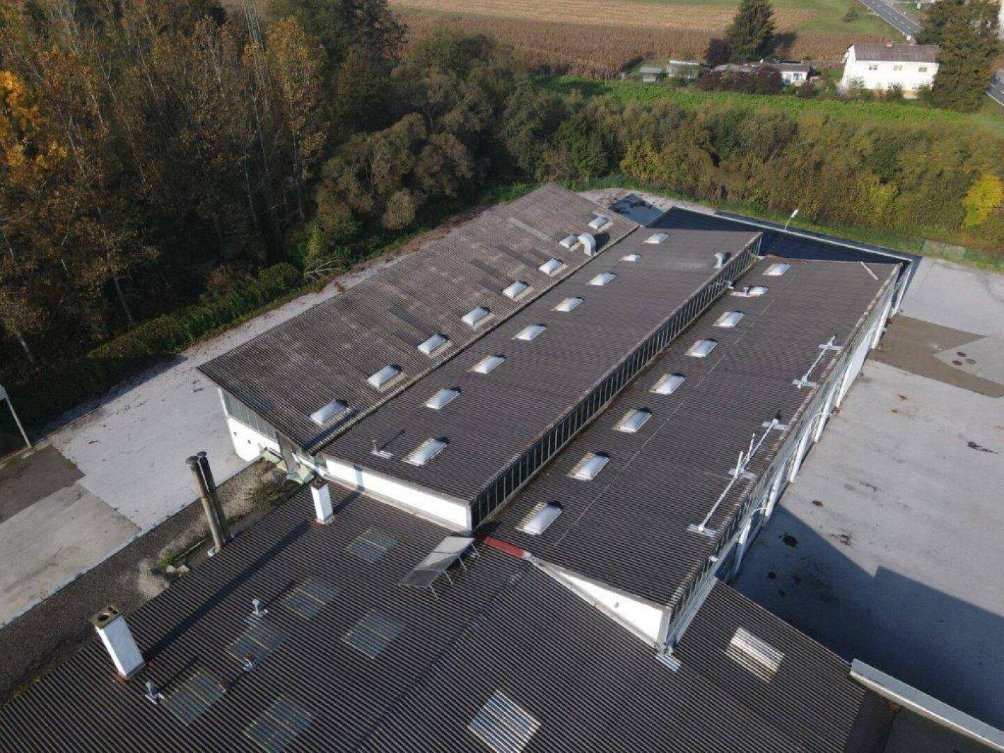 Dachansicht des Gewerbegebäudes mit zahlreichen Oberlichtern, umgeben von Bäumen und Feldern.