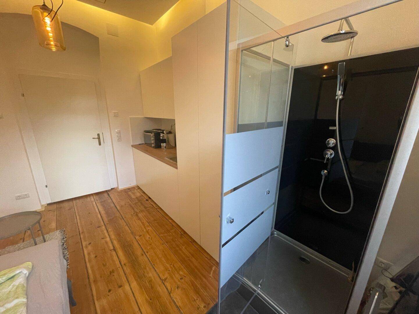 Blick auf die Eingangstür, die Küchenzeile und die moderne Duschkabine im Studio-Apartment.