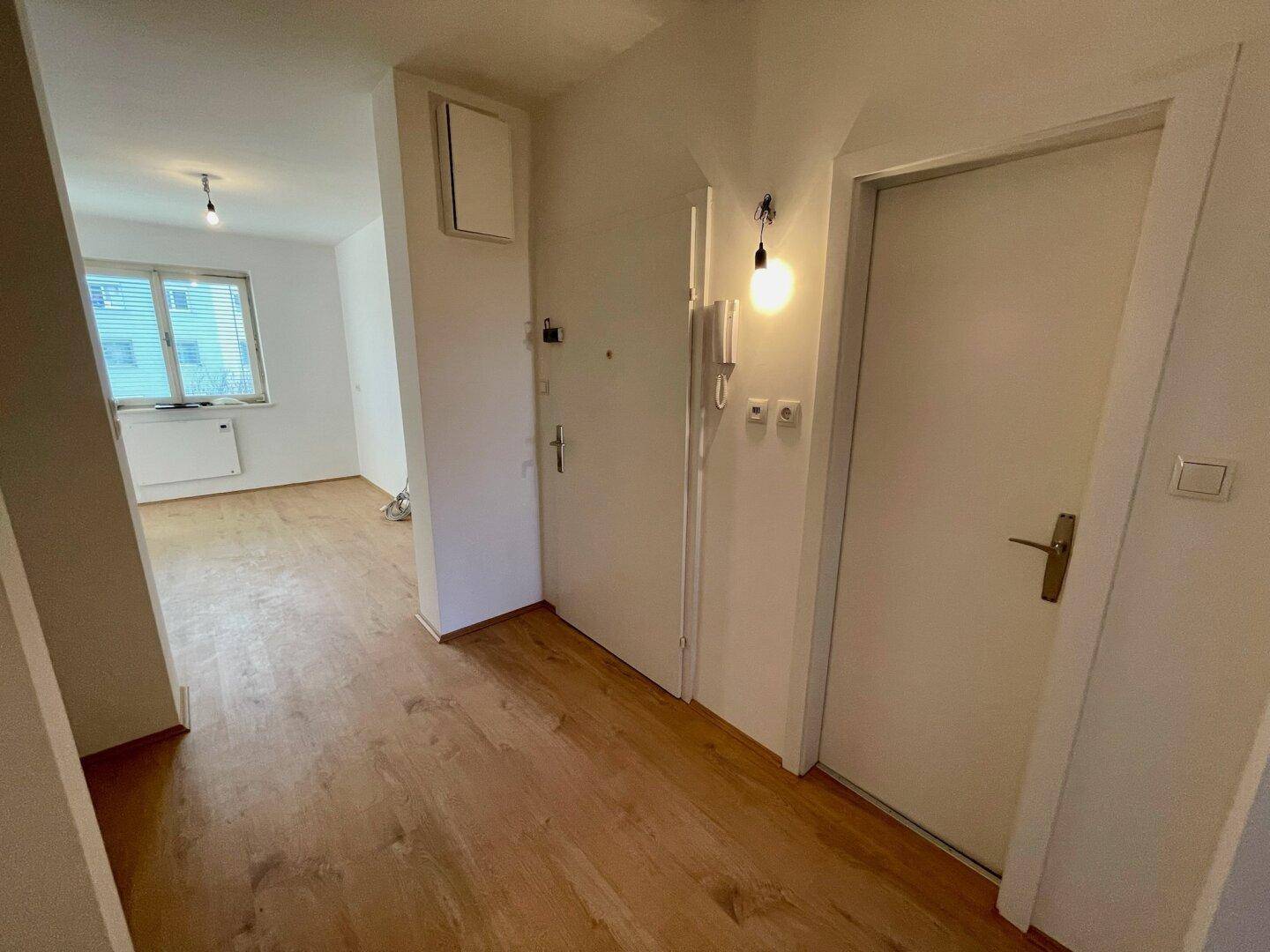 Heller Eingangsbereich mit Holzfußboden und Blick in angrenzende Räume.