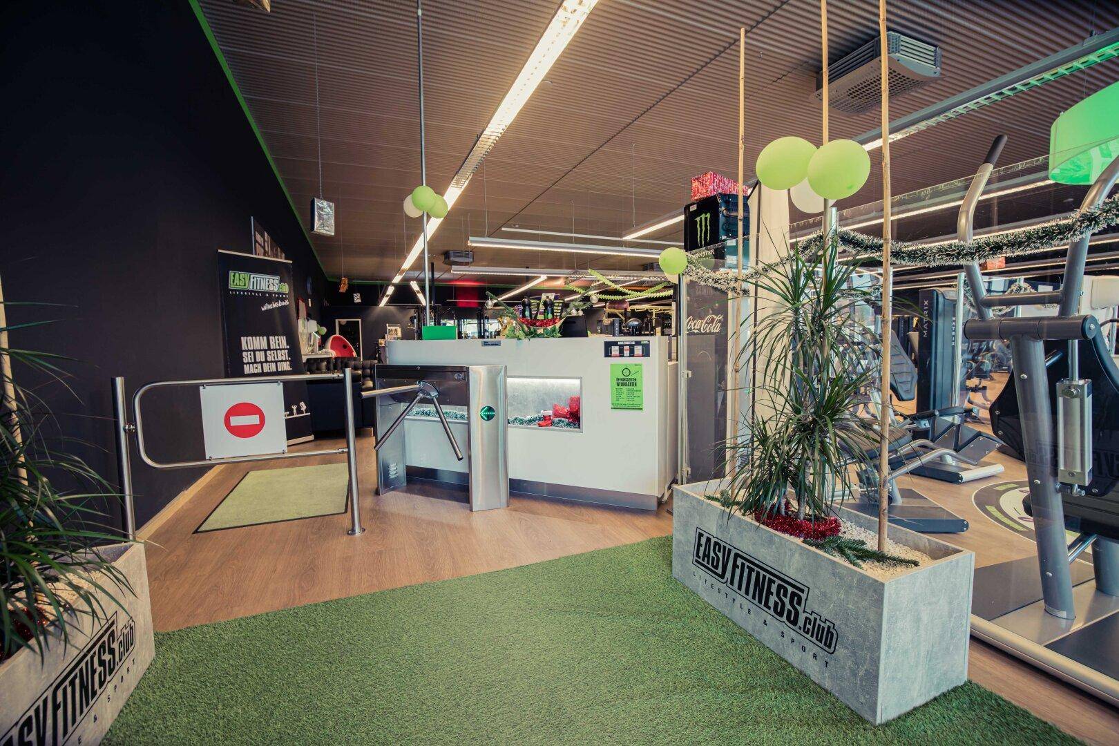 Empfangsbereich eines Fitnessstudios mit Drehkreuz, Pflanzen und Blick auf den Trainingsbereich.