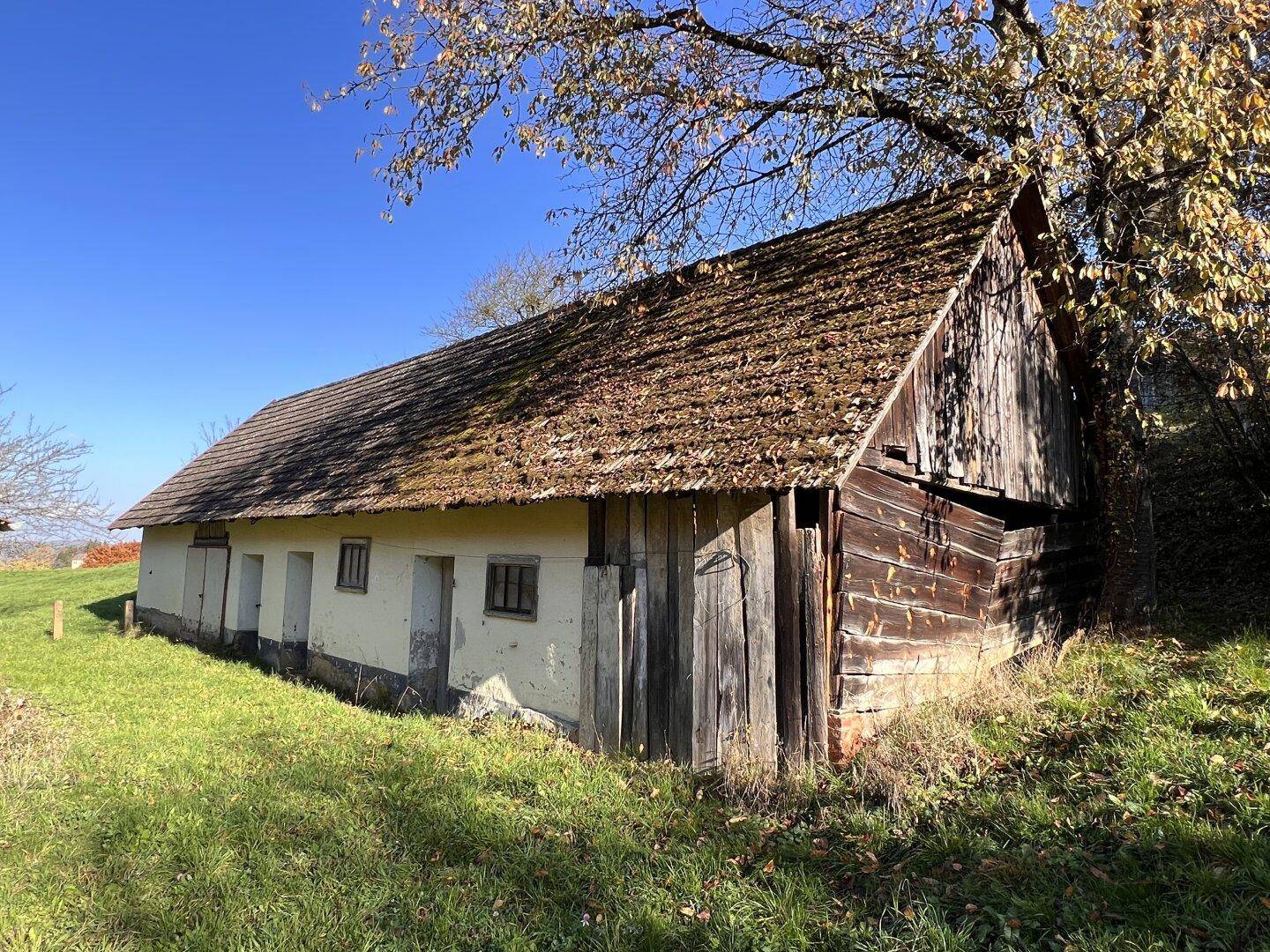 Altes, verwittertes Scheunengebäude mit moosbewachsenem Ziegeldach und Holzwänden auf einem sonnigen Hang.