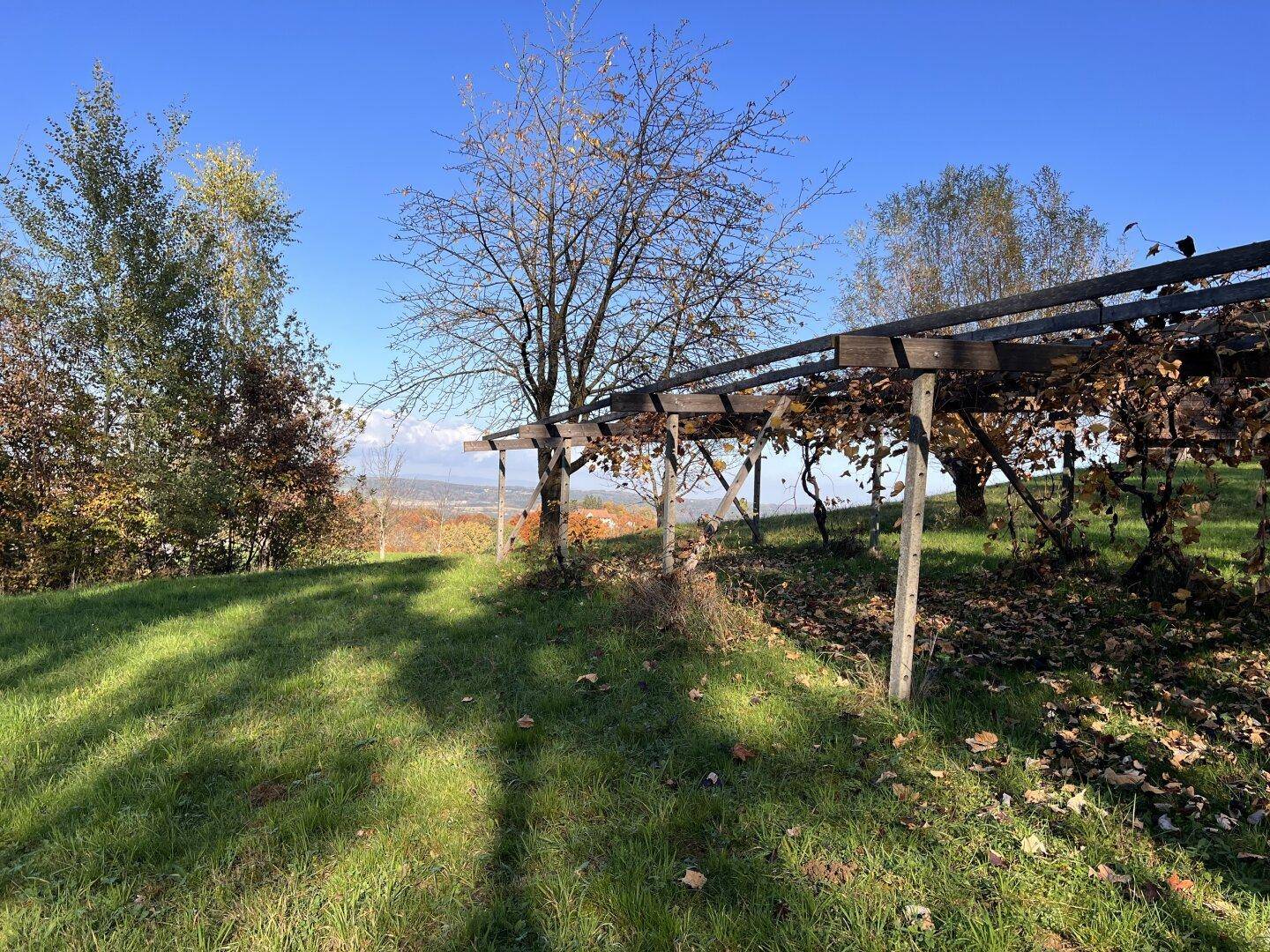 Hölzerne Pergola-Struktur in einem sonnigen Gartenbereich mit herbstlichem Laub und weitem Blick.