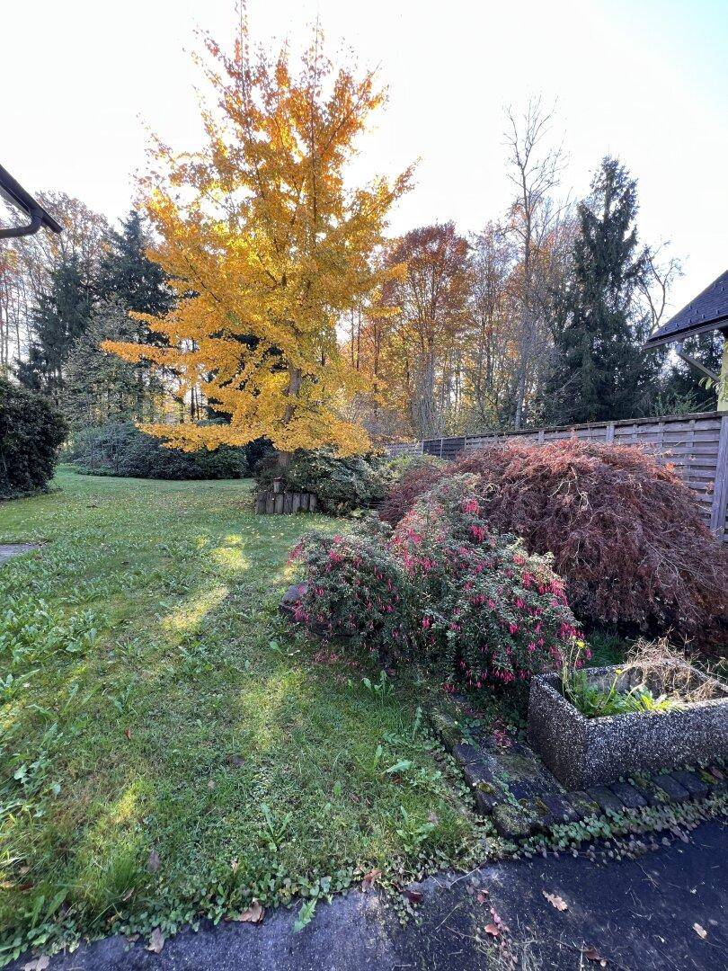 Gepflegter Garten mit Rasenfläche, bunten Herbstbäumen und verschiedenen Sträuchern.