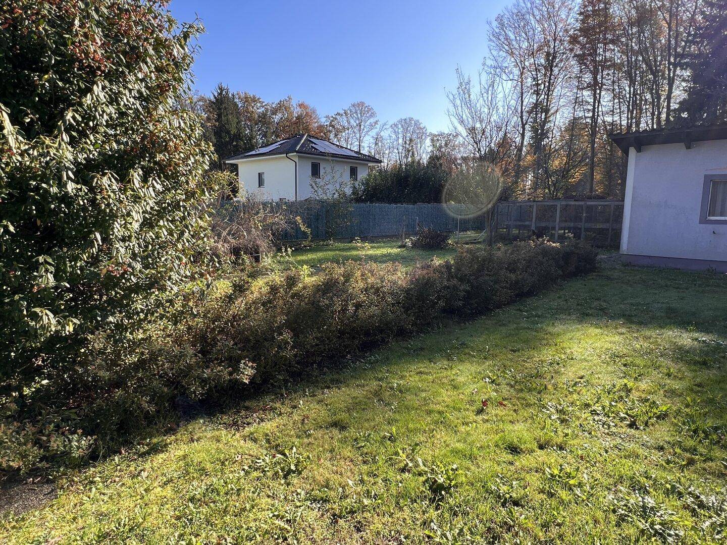 Weitläufiger Gartenbereich mit Rasenfläche und Blick auf ein weiteres Gebäude in der Ferne.