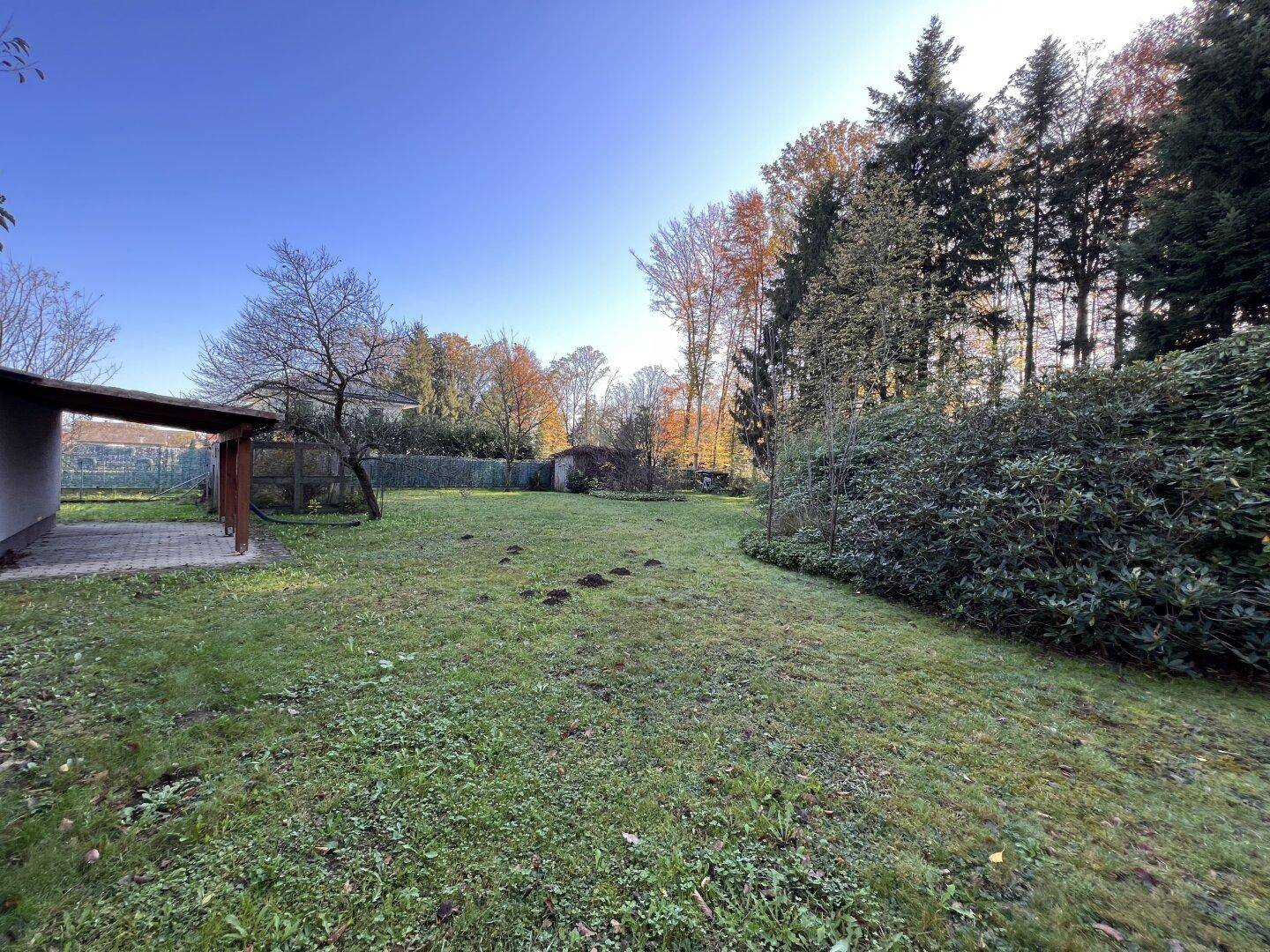 Weitläufiger Gartenbereich mit Rasenfläche und Waldrand im Hintergrund.