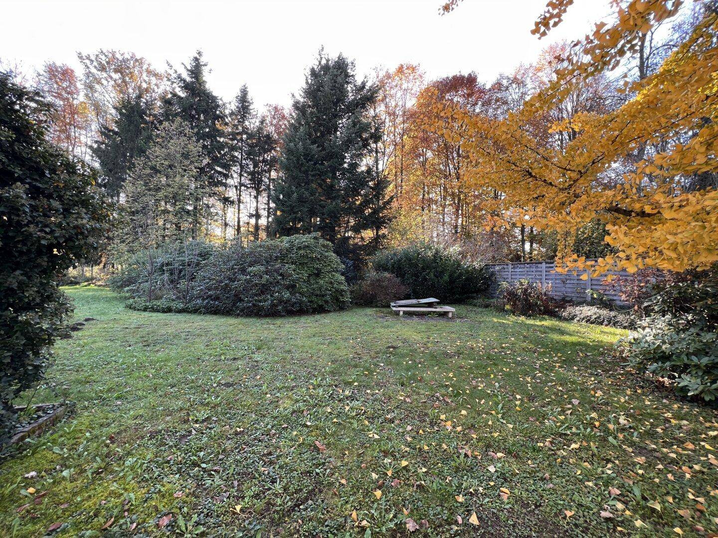 Geräumiger Gartenbereich mit Rasenfläche, hohen Bäumen und herbstlicher Laubfärbung.