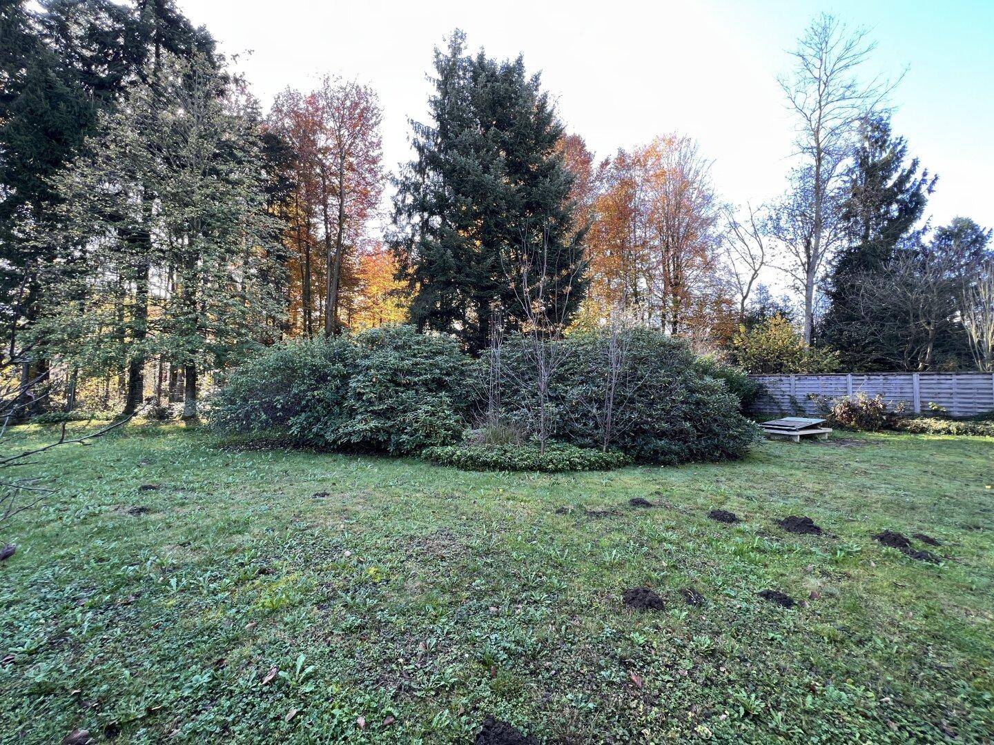 Weitläufiger Gartenbereich mit Rasenfläche und Waldrand im Hintergrund.