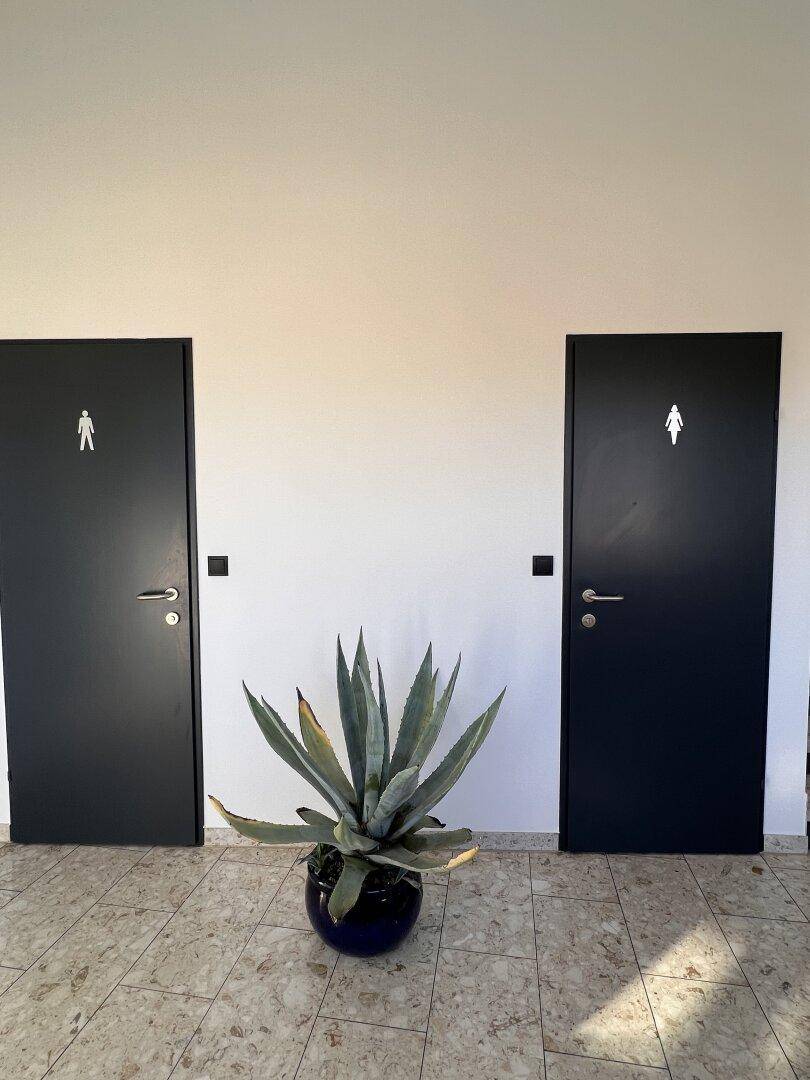Eingangsbereich mit zwei Toilettentüren und einer dekorativen Pflanze auf Fliesenboden.