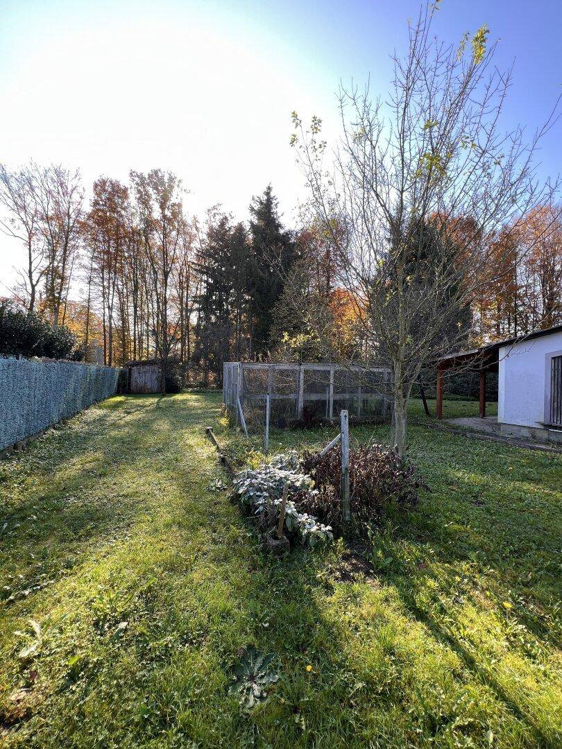 Gartenbereich mit Rasenfläche und einem eingezäunten Bereich unter blauem Himmel.