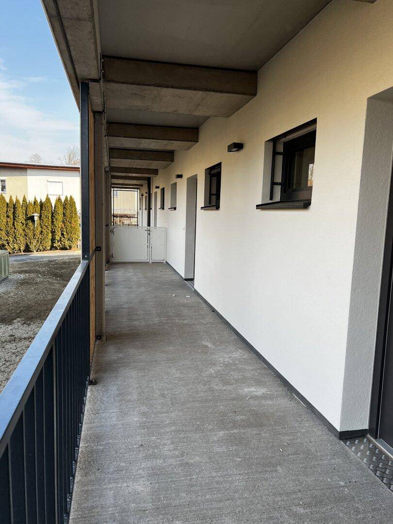 Langer, überdachter Außenflur mit Betonboden und Blick auf die Hecke.