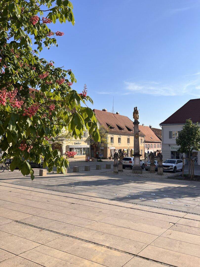 Sonniger Blick auf einen historischen Stadtplatz mit einem Denkmal und blühenden Bäumen im Vordergrund.