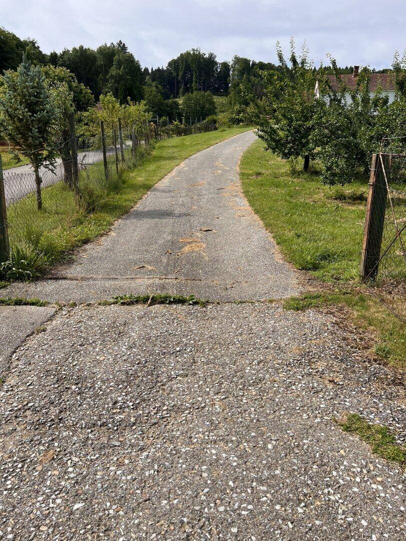 Gepflasterter Weg führt durch eine grüne Landschaft mit Zäunen und Bäumen.