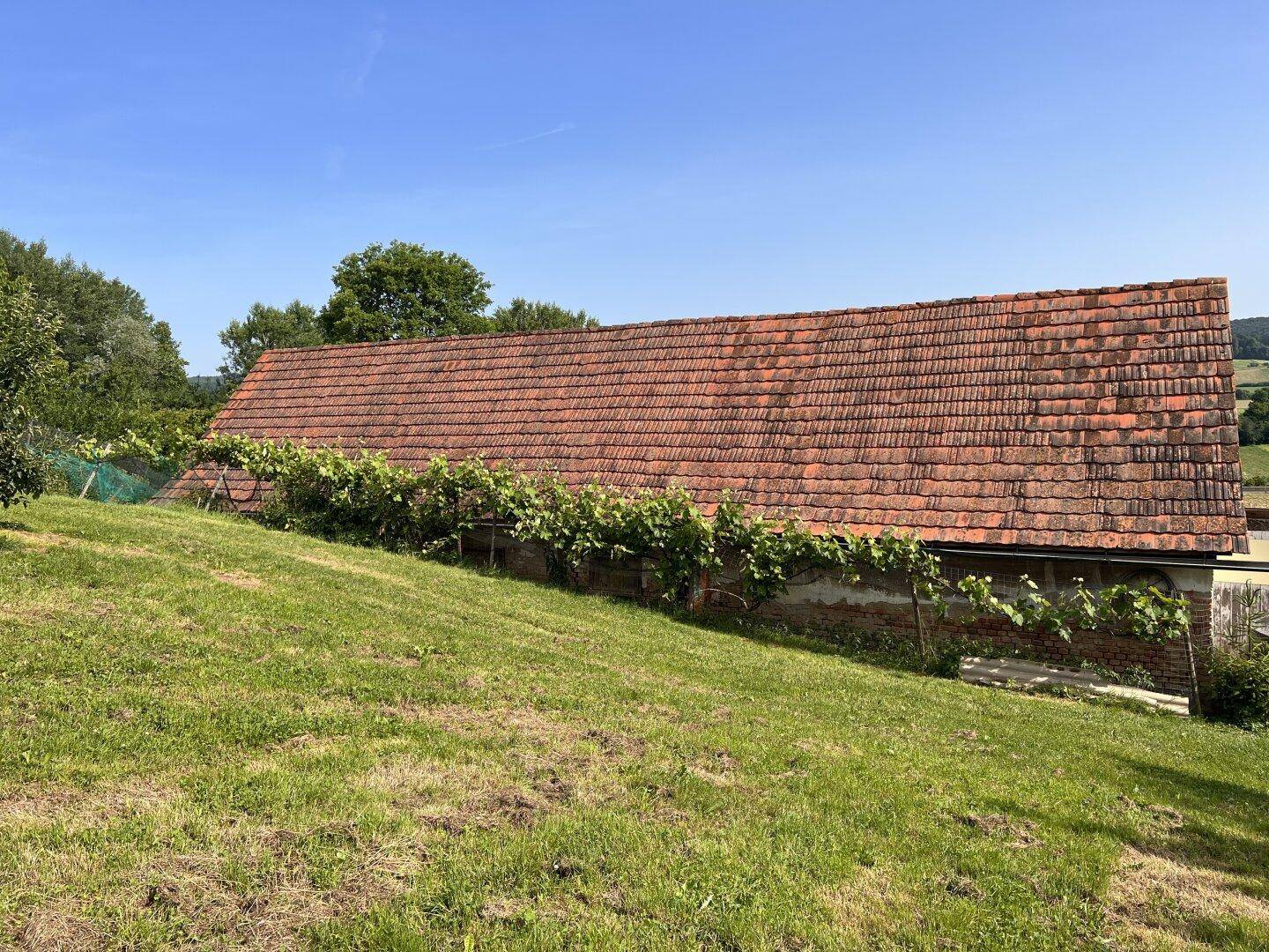Altes Gebäude mit Ziegeldach und Weinreben, eingebettet in eine grüne Hügellandschaft.