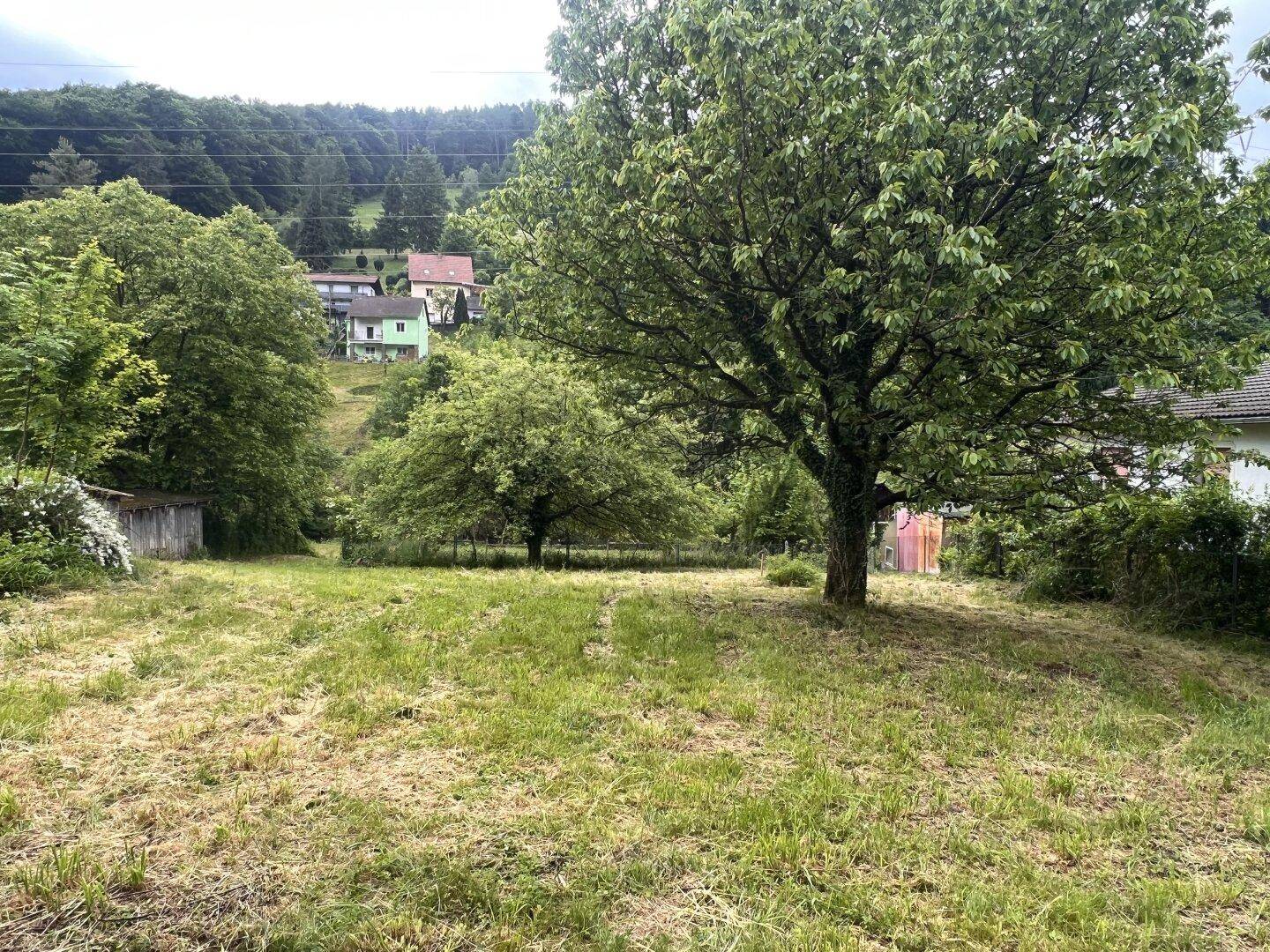 Weitläufiger Gartenbereich mit alten Bäumen und Blick auf die umliegende Hügellandschaft.
