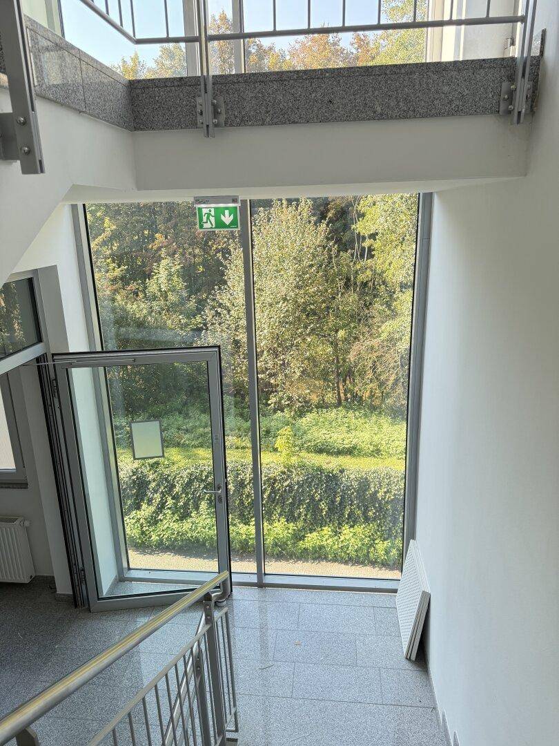Helles Treppenhaus mit großen Fenstern und Blick auf die grüne Umgebung.