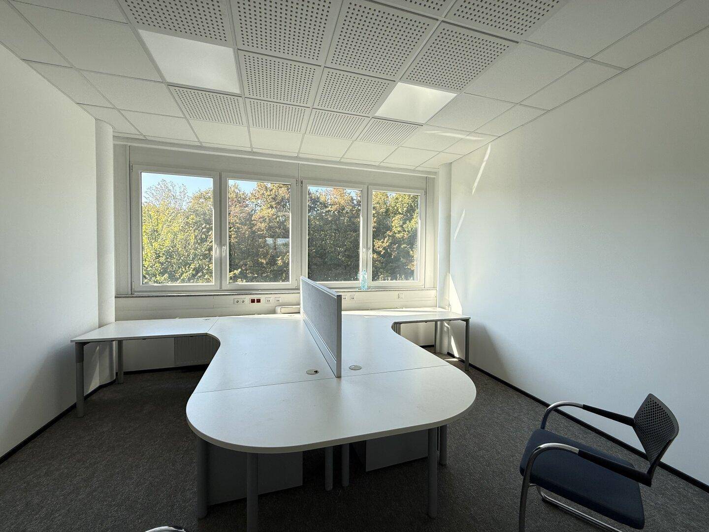 Helles Büro mit ergonomischem Schreibtisch und weitem Blick auf die umliegende Natur.
