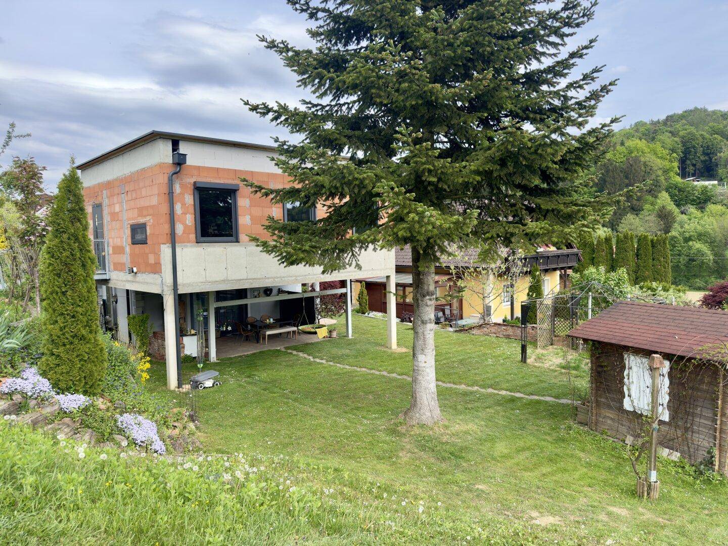 Panoramablick auf das Anwesen mit weitläufiger Rasenfläche, hohem Baum und dem Wohnhaus.