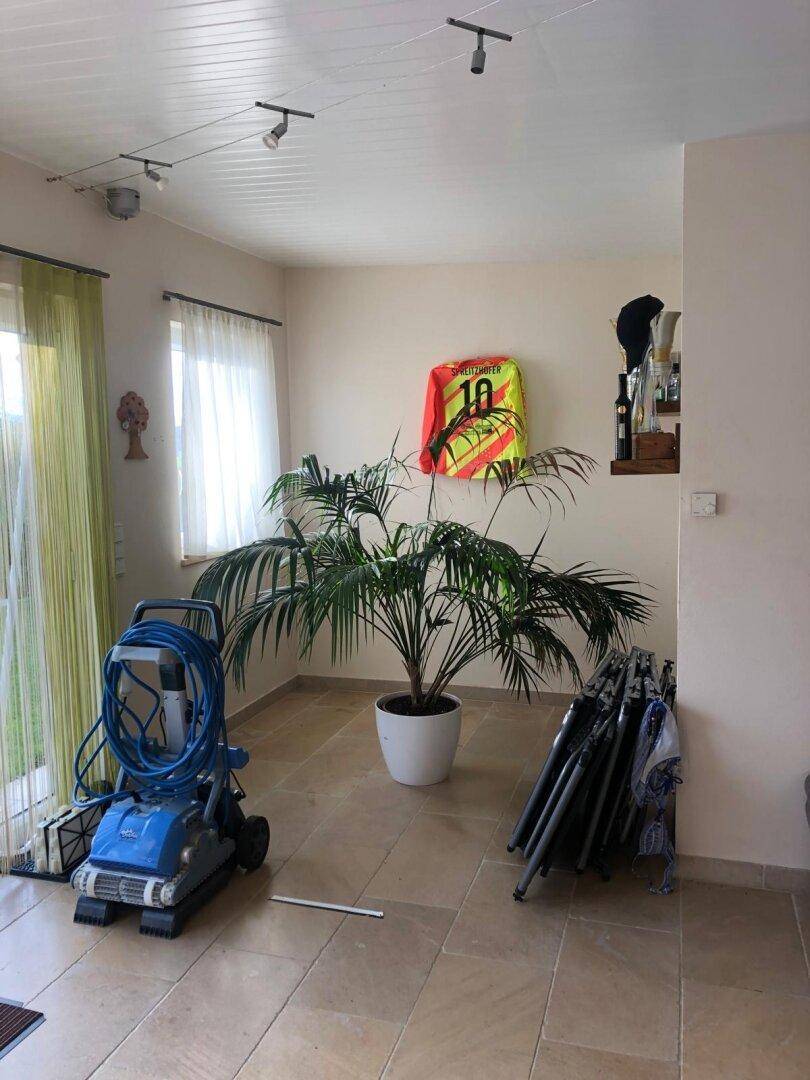 Heller Raum mit Fliesenboden, großen Fenstern, einer Palme und einem Poolreiniger, ideal als Hauswirtschaftsraum.