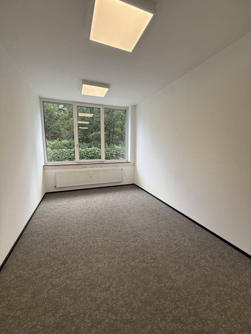 Helles Einzelbüro mit Teppichboden und einem großen Fenster, das eine grüne Aussicht bietet.