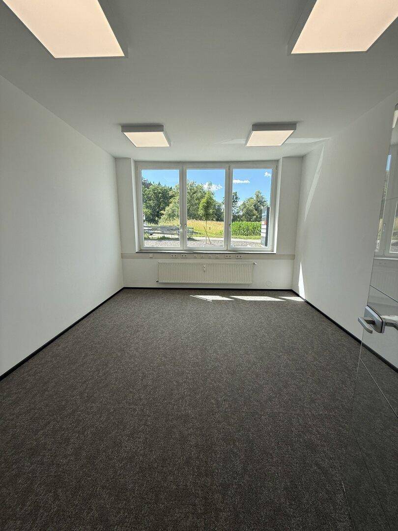 Leeres Büro mit Teppichboden und breiten Fenstern, die viel Sonnenlicht hereinlassen.