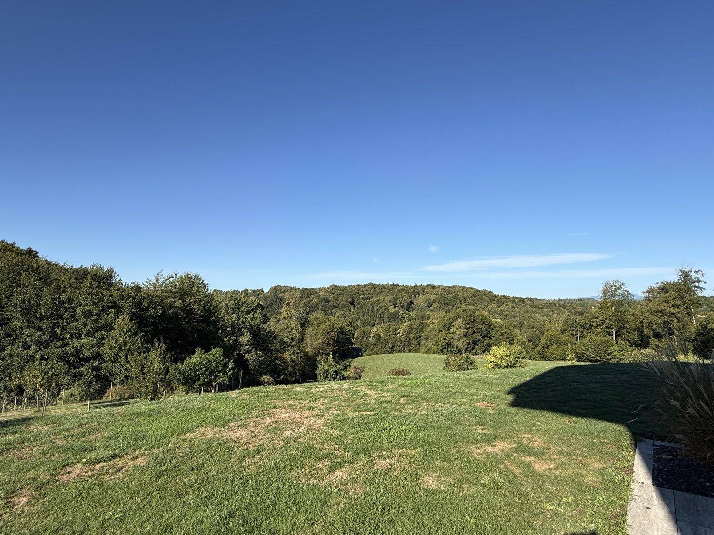 Weitläufige grüne Landschaft mit bewaldeten Hügeln unter einem strahlend blauen Himmel.
