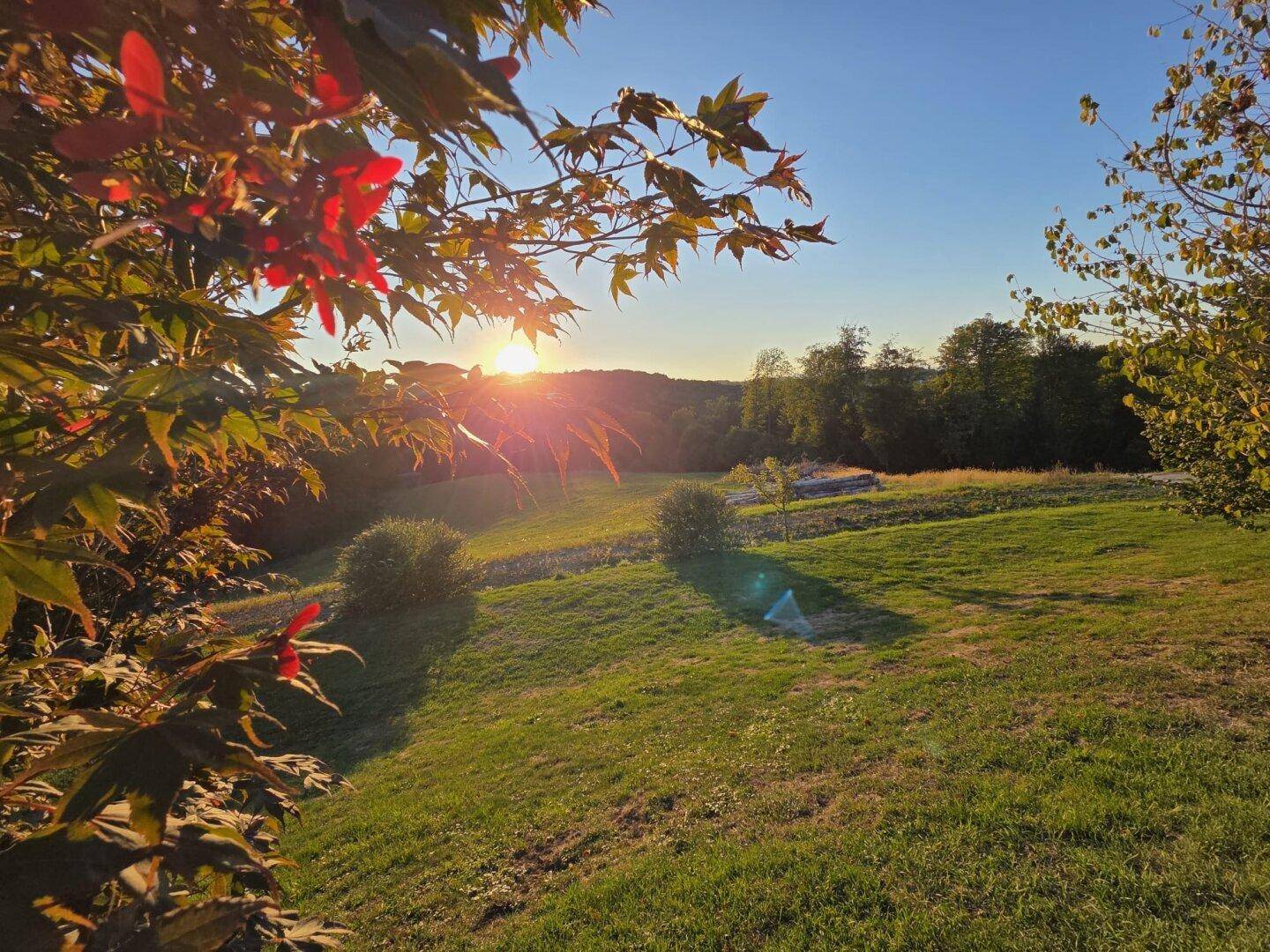 Malerischer Sonnenuntergang über sanften grünen Hügeln, eingerahmt von herbstlichen Baumblättern.