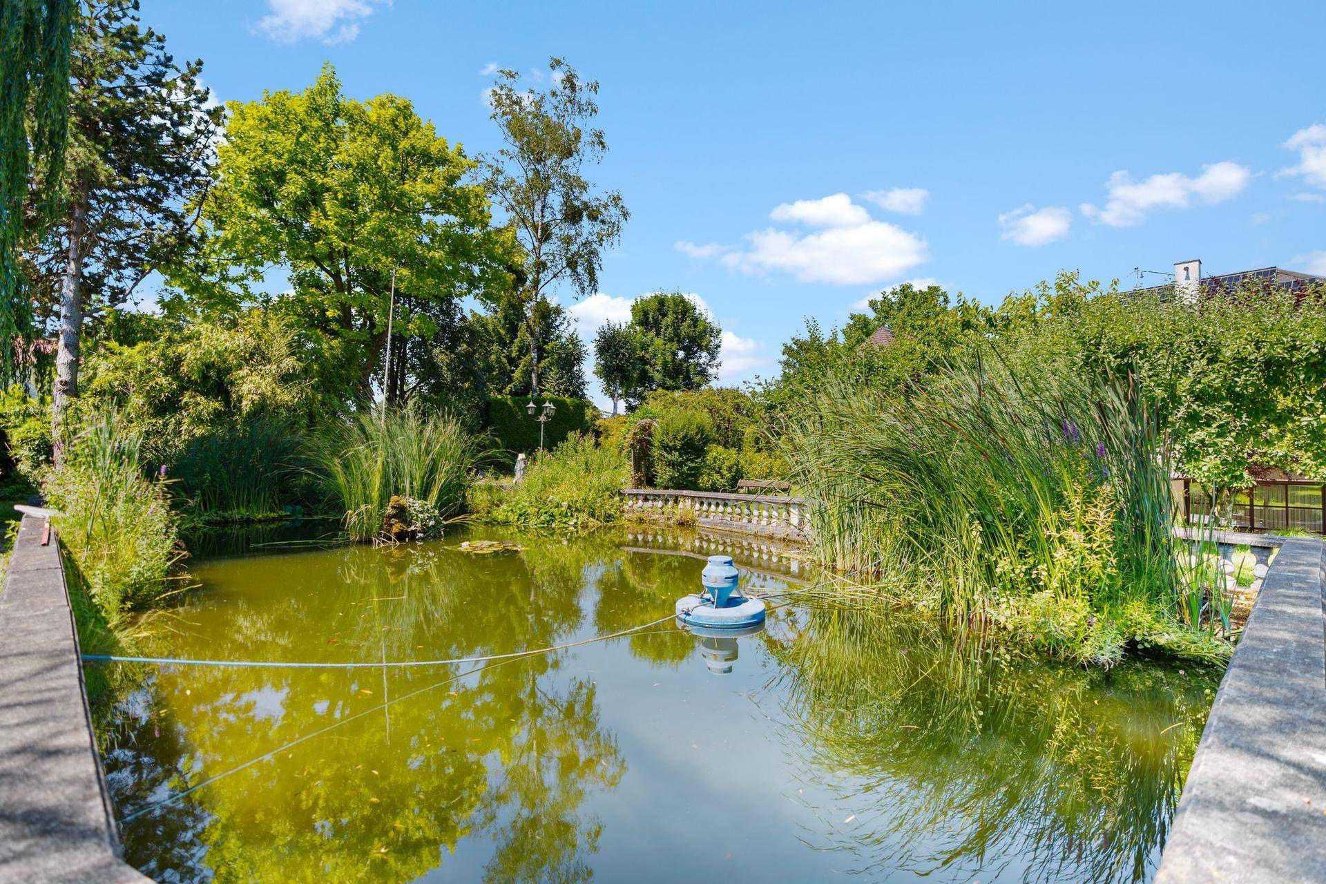 Großer, naturnaher Teich mit üppiger Ufervegetation und einem Wasserspiel in der Mitte.