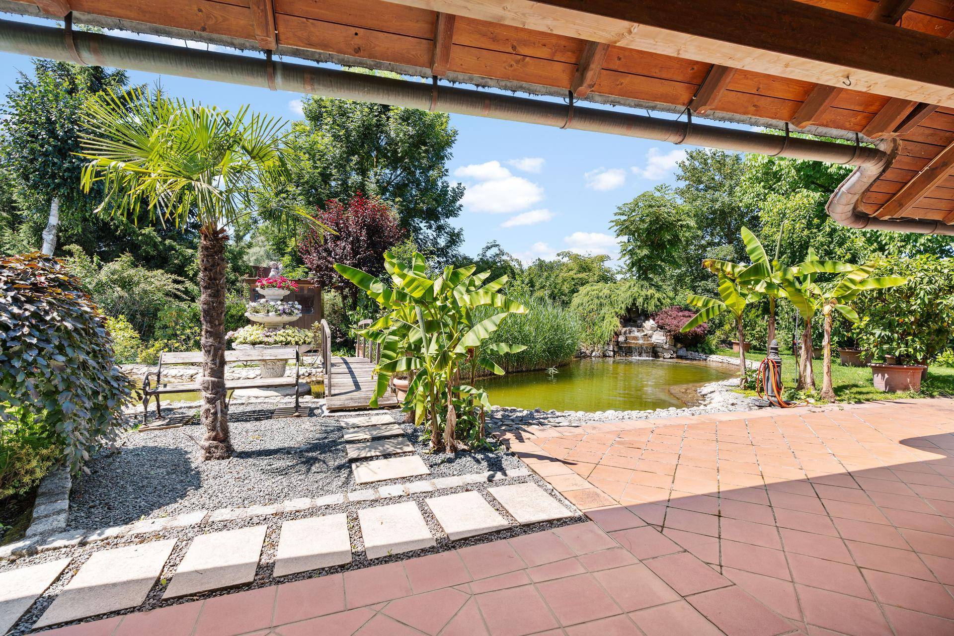 Überdachte Terrasse mit Blick auf den Garten, einen Teich und exotische Pflanzen wie Palmen.