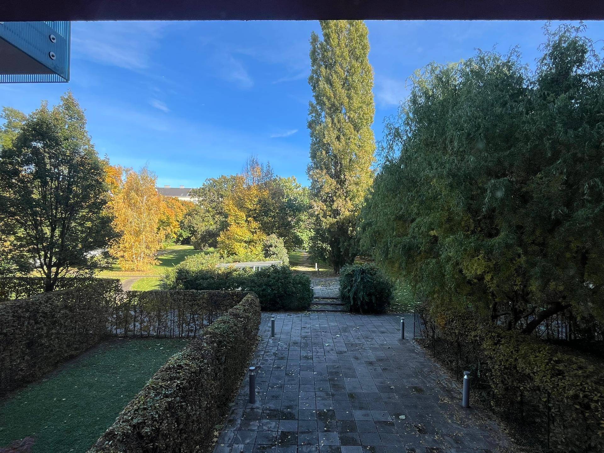 Blick auf einen herbstlichen Garten mit bunten Bäumen, Sträuchern und einem gepflasterten Weg.