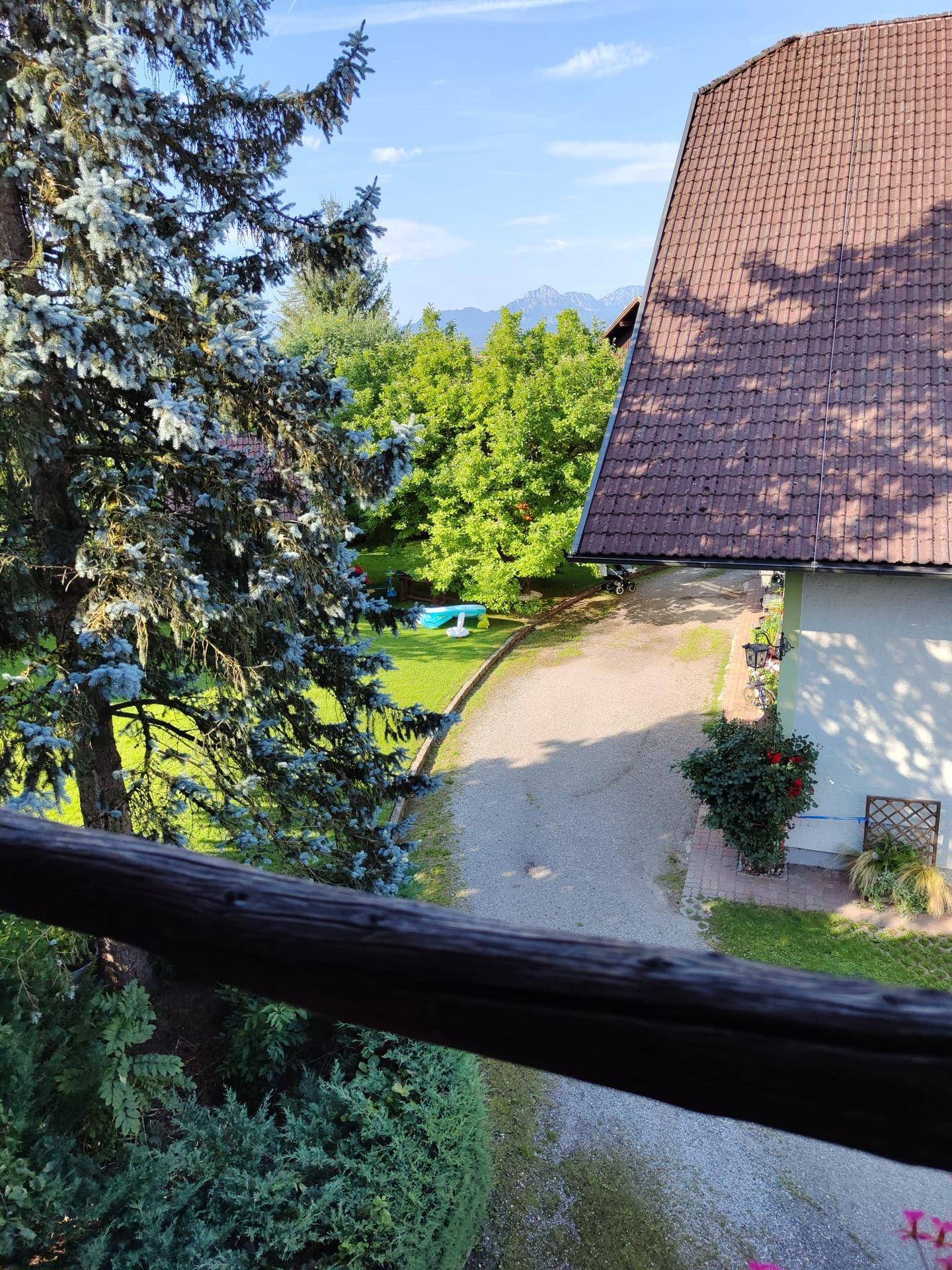 Weitläufiger Blick ins Grüne mit Bäumen, Rasenfläche und einem kleinen Pool, im Hintergrund sind Berge sichtbar.