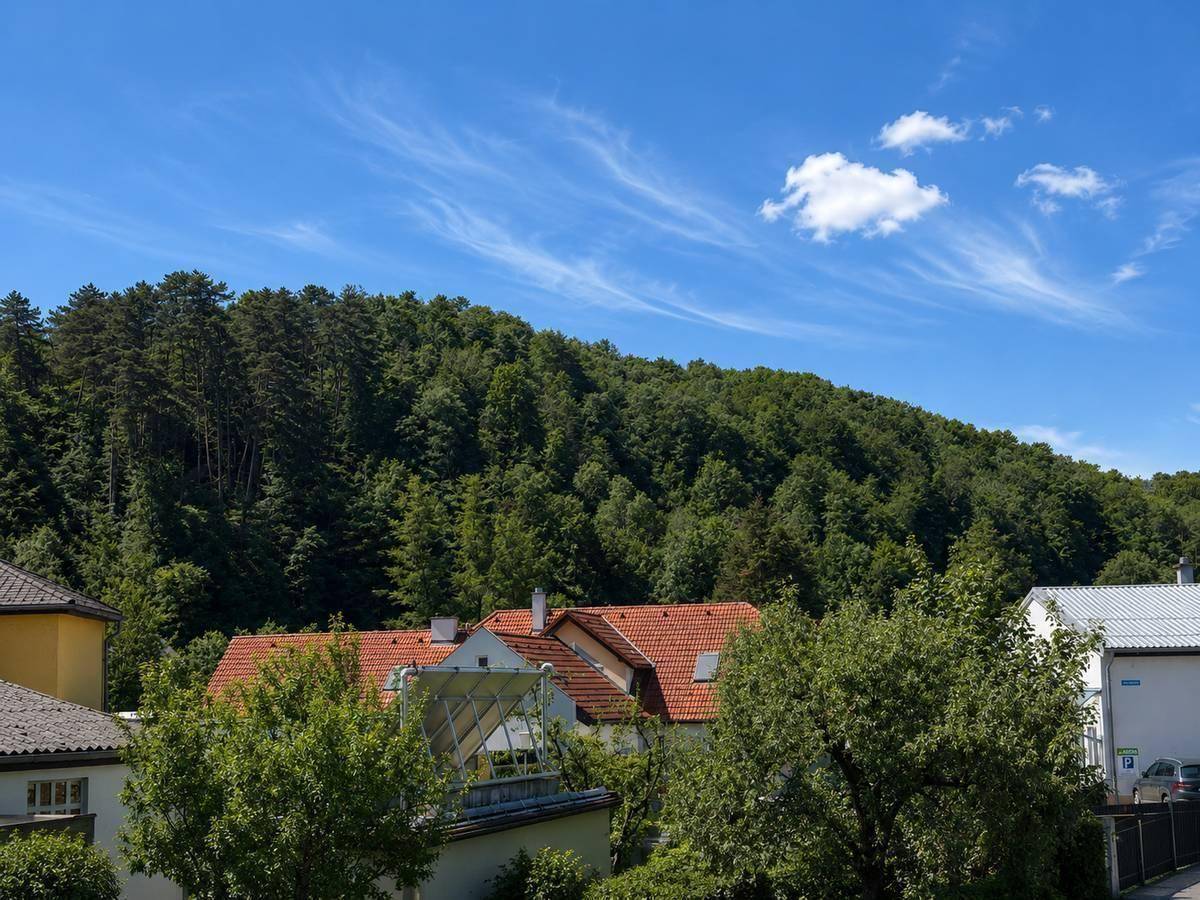 Panoramablick auf eine bewaldete Hügellandschaft mit einigen Dächern im Vordergrund unter blauem Himmel.